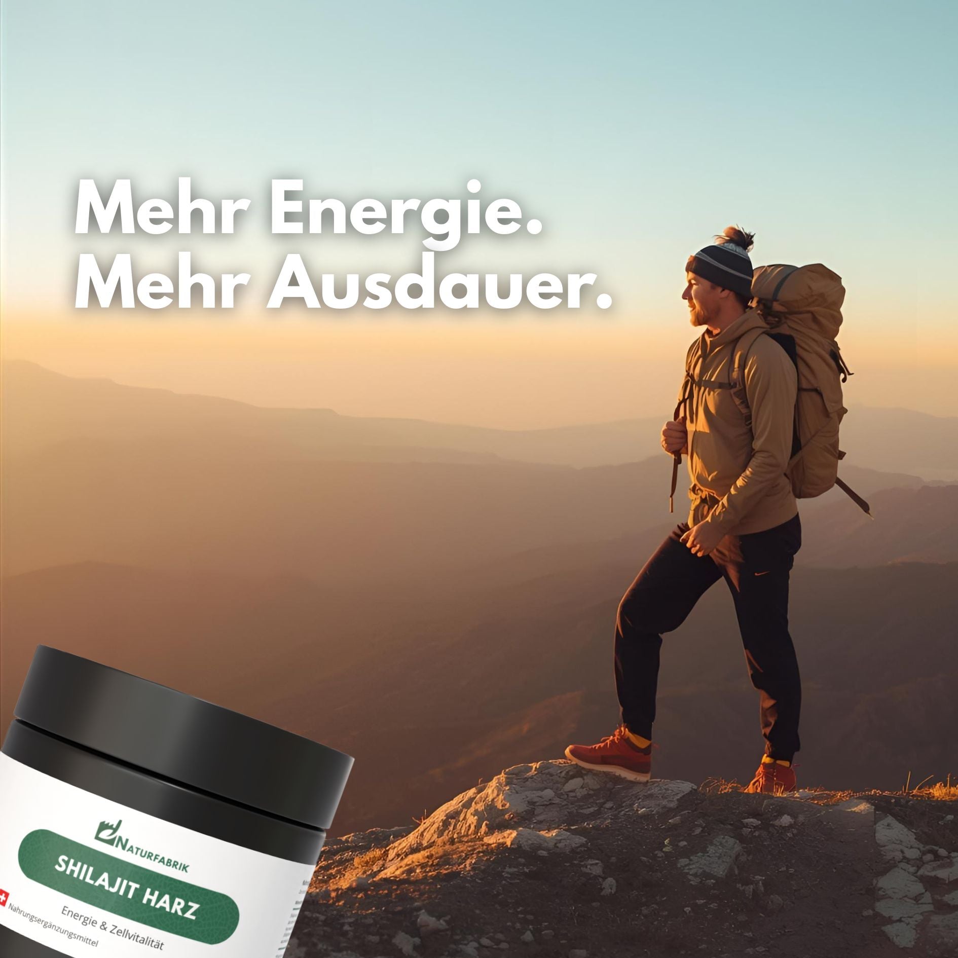 DrogerieMarkt24 - DrogerieMarkt24 NATURFABRIK Shilajit Harz 30 g - DrogerieMarkt24