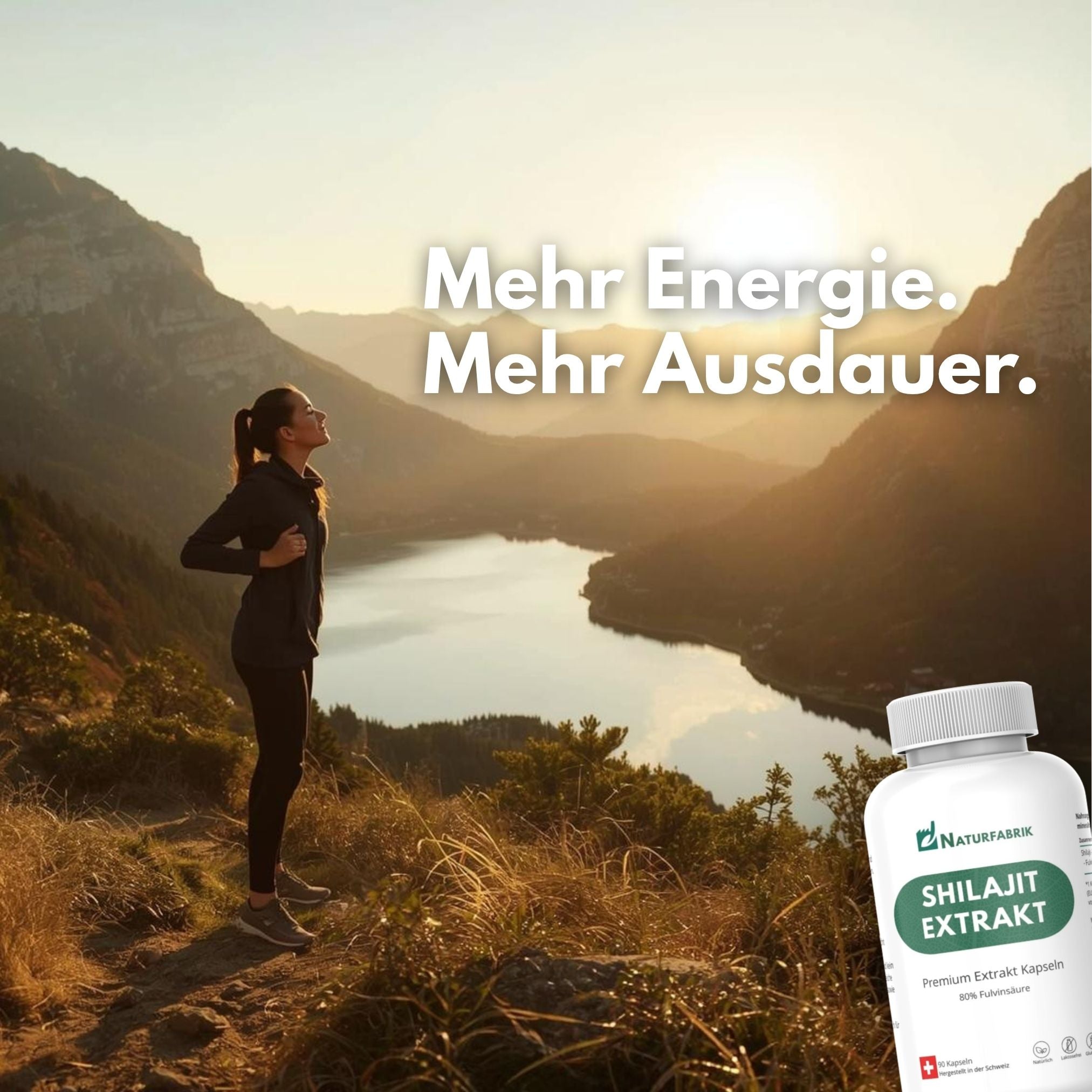 DrogerieMarkt24 - DrogerieMarkt24 NATURFABRIK Shilajit Mumijo Extrakt Kapseln 90 Stk - DrogerieMarkt24