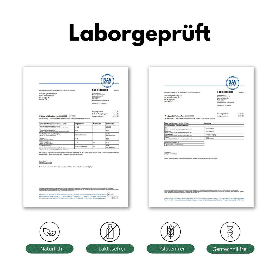 DrogerieMarkt24 - DrogerieMarkt24 NATURFABRIK Huaier Pilzextrakt Kapseln 100 Stk - DrogerieMarkt24