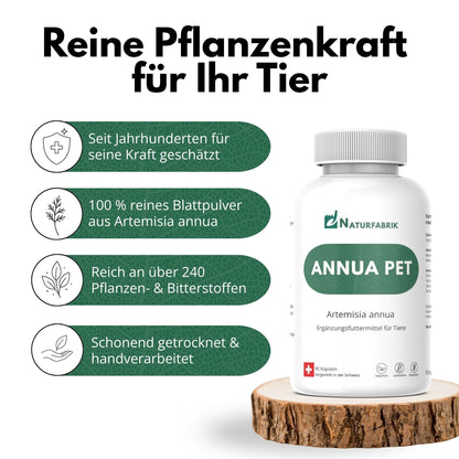 DrogerieMarkt24 - DrogerieMarkt24 NATURFABRIK Annua Pet 90 Kapseln - DrogerieMarkt24