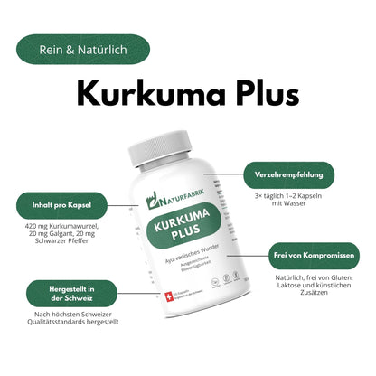 DrogerieMarkt24 - DrogerieMarkt24 NATURFABRIK Kurkuma Plus Kapseln 100 Stk - DrogerieMarkt24