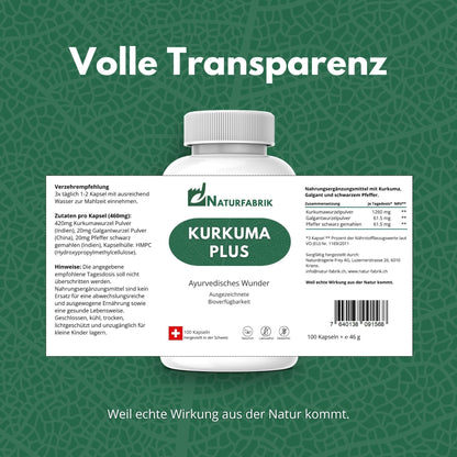 DrogerieMarkt24 - DrogerieMarkt24 NATURFABRIK Kurkuma Plus Kapseln 100 Stk - DrogerieMarkt24