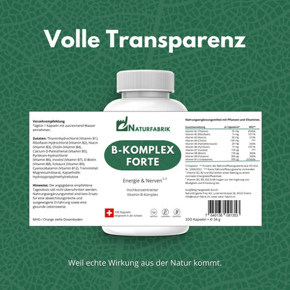 NATURFABRIK Vitamin B-Komplex Forte Kapseln 100 Stk