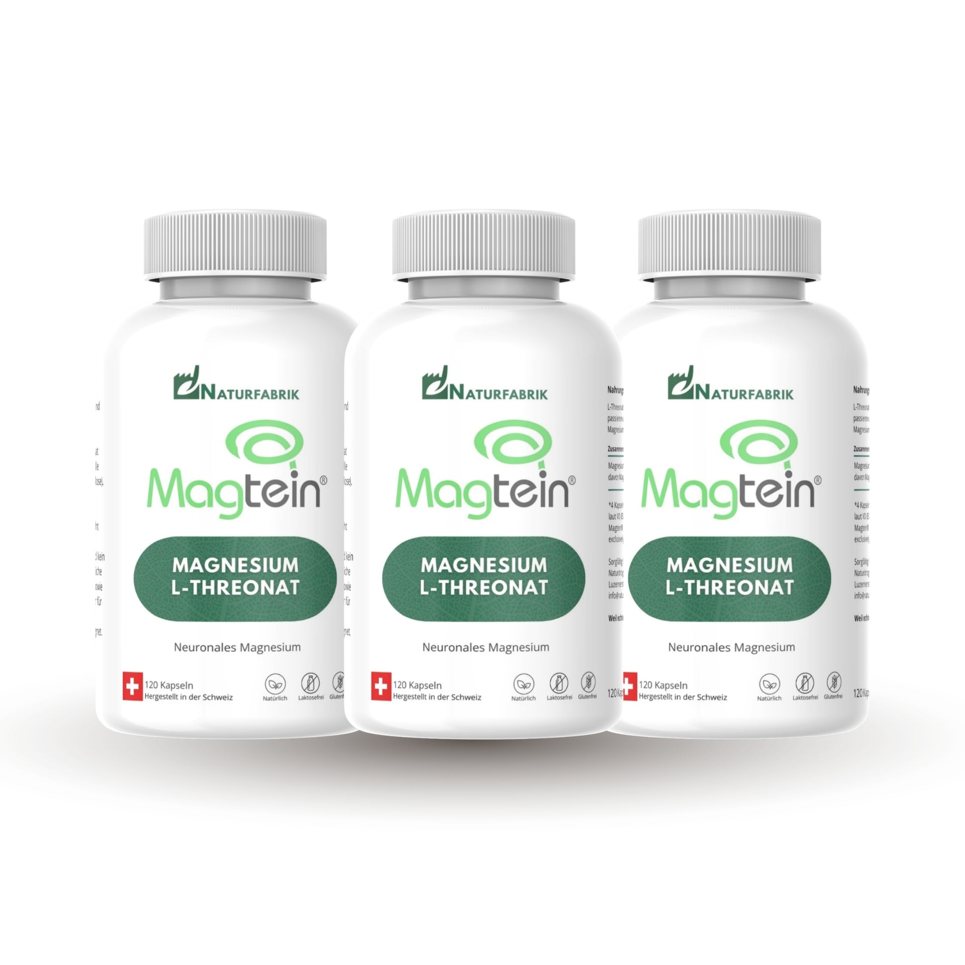 NATURFABRIK Magnesium-L-Threonat Magtein® Kaps 360 Stk (3er)