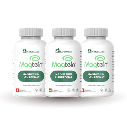 NATURFABRIK Magnesium-L-Threonat Magtein® Kaps 360 Stk (3er)