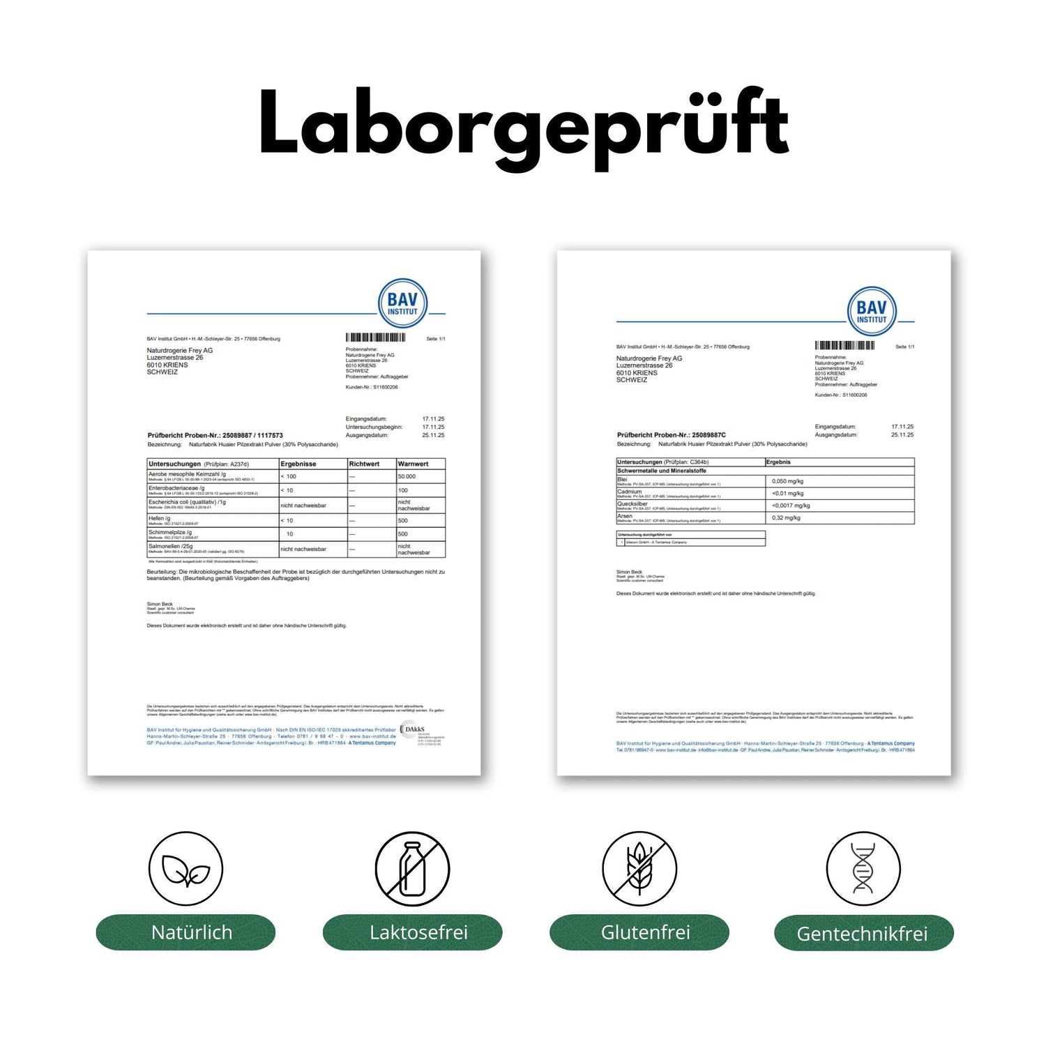 DrogerieMarkt24 - DrogerieMarkt24 NATURFABRIK Huaier Pilzextrakt Kapseln 100 Stk - DrogerieMarkt24