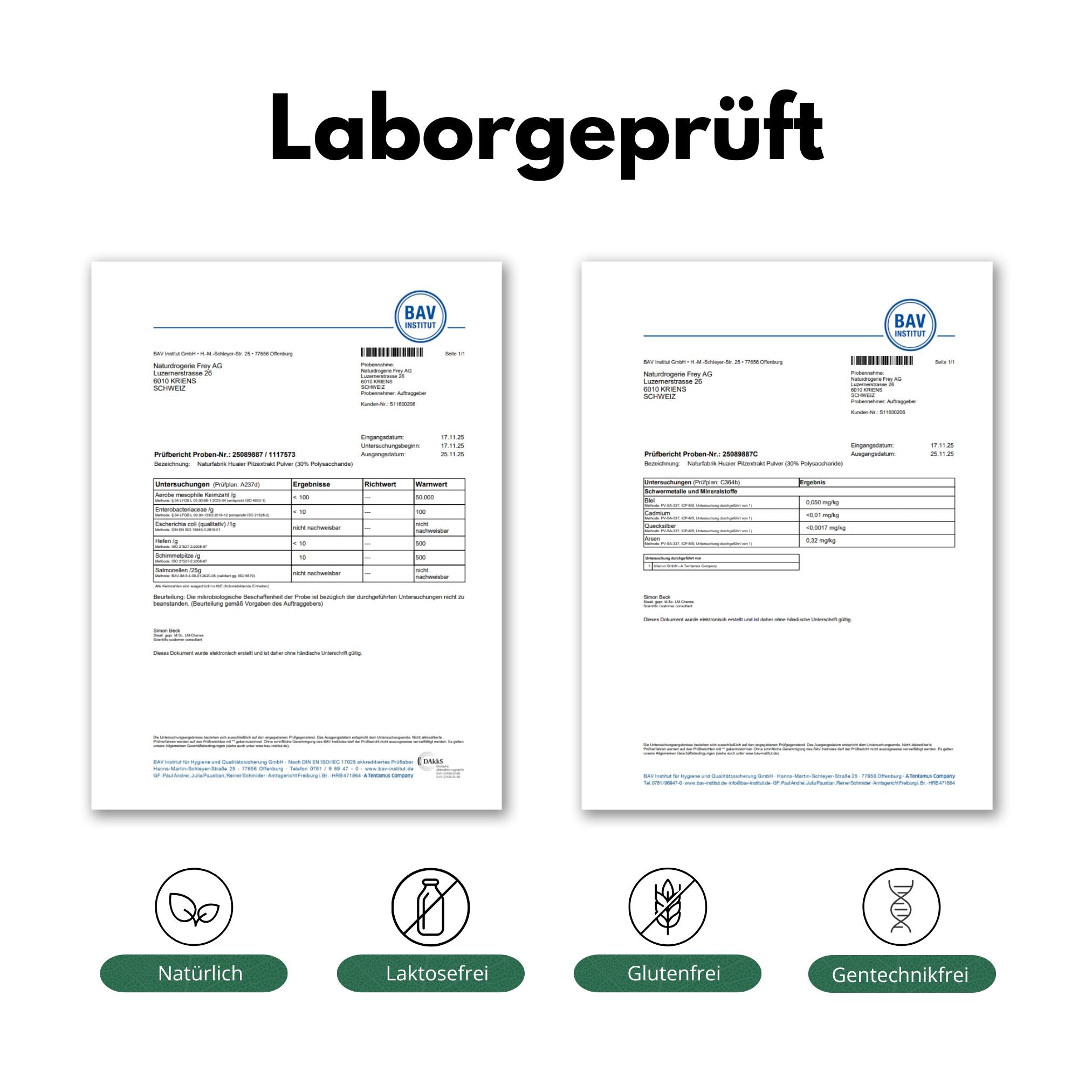 DrogerieMarkt24 - DrogerieMarkt24 NATURFABRIK Huaier Pilzextrakt Kapseln 100 Stk - DrogerieMarkt24
