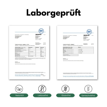 DrogerieMarkt24 - DrogerieMarkt24 NATURFABRIK Huaier Pilzextrakt Kapseln 100 Stk - DrogerieMarkt24