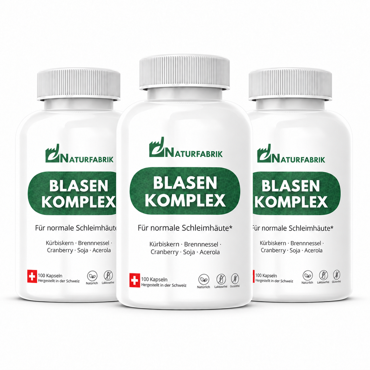 NATURFABRIK Blasen-Komplex Kapseln 300 Stk (Trio)