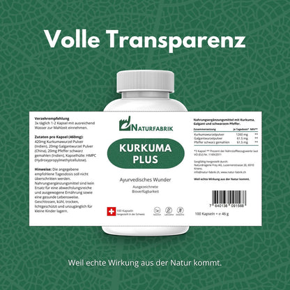 NATURFABRIK Kurkuma Plus Kapseln 300 Stk (Trio)