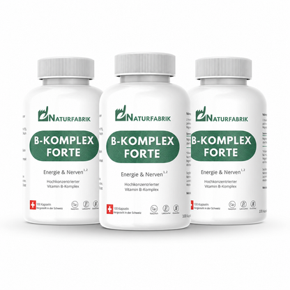 NATURFABRIK Vitamin B-Komplex Forte Kapseln 300 Stk (Trio)