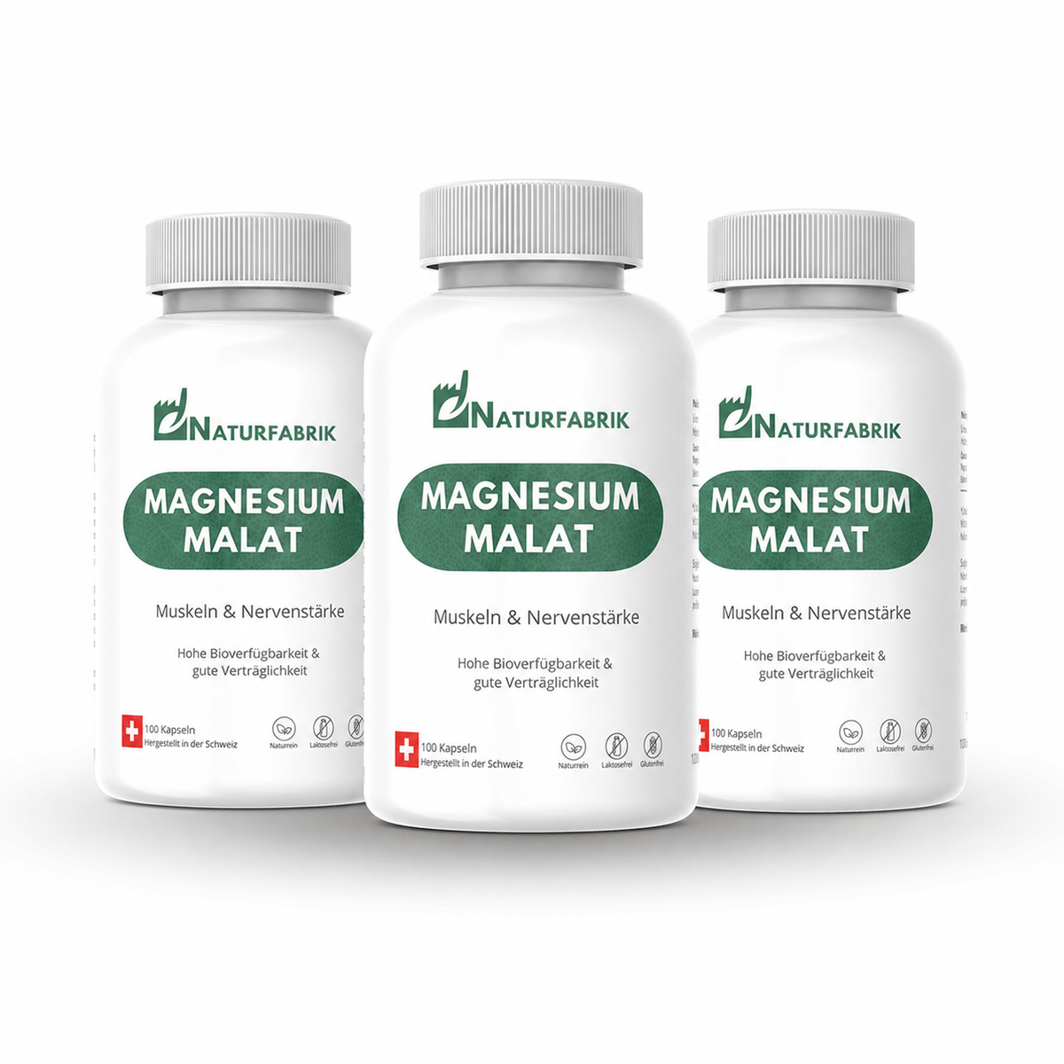 NATURFABRIK Magnesium Malat Kapseln 300 Stk (Trio)