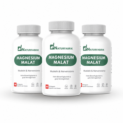 NATURFABRIK Magnesium Malat Kapseln 300 Stk (Trio)